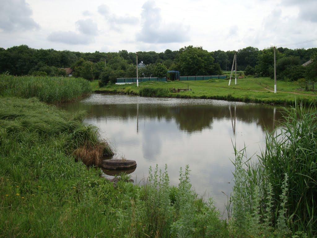 Листвянка з panoramio.com - Листвянка