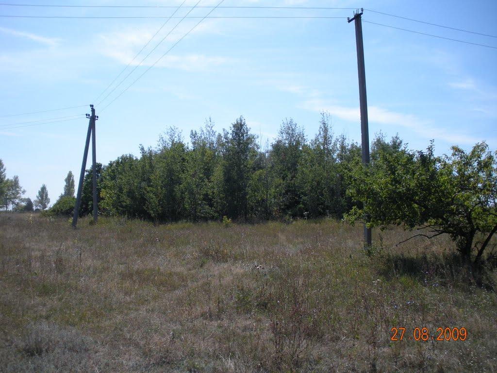 Ржавчик з panoramio.com - Ржавчик