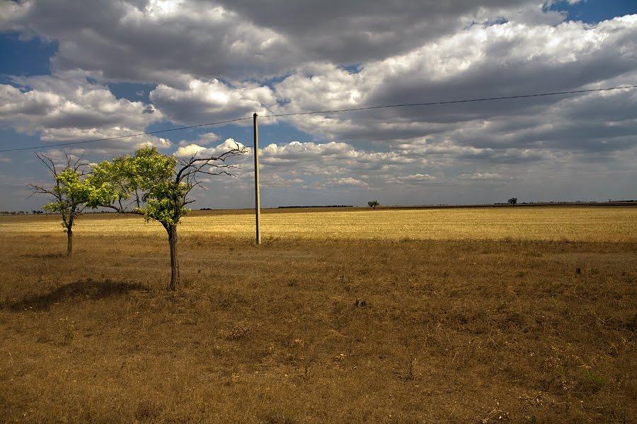 Штормове з panoramio.com - Штормове
