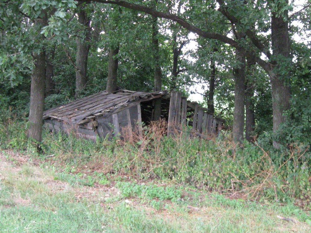 Білоусівка з panoramio.com - Білоусівка