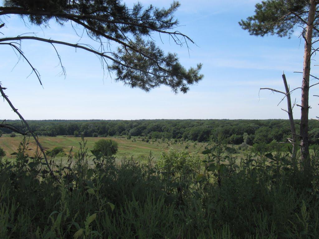 Підлісне з panoramio.com - Підлісне