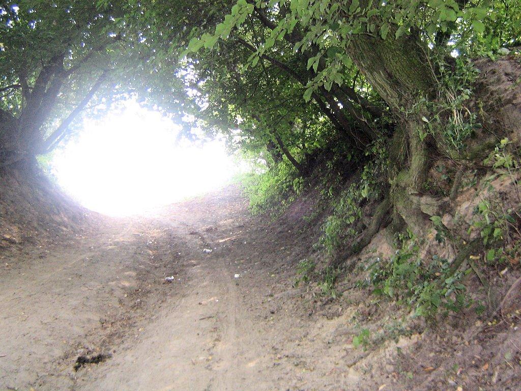 Шубків з panoramio.com - Шубків