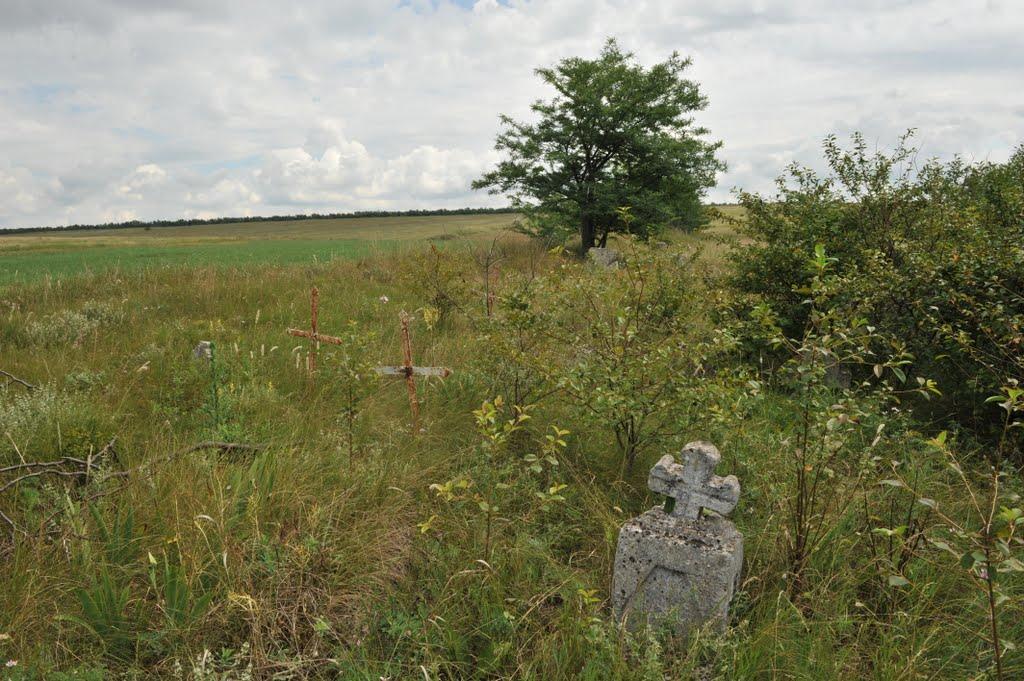 Бецилове з panoramio.com - Betsylove
