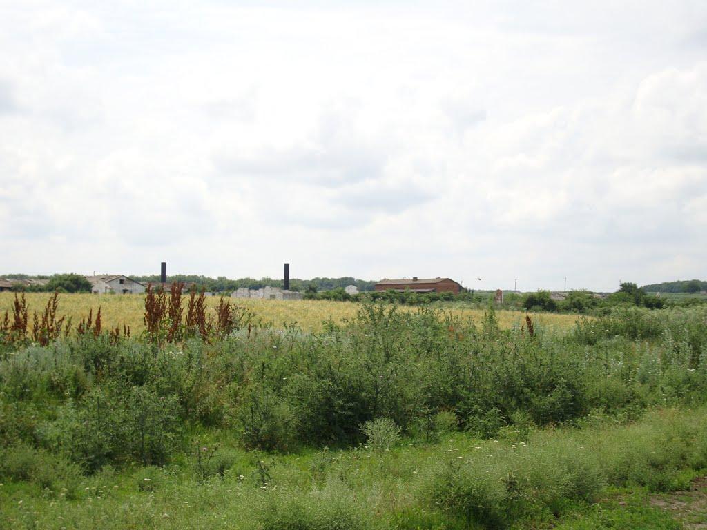 Листвянка з panoramio.com - Листвянка