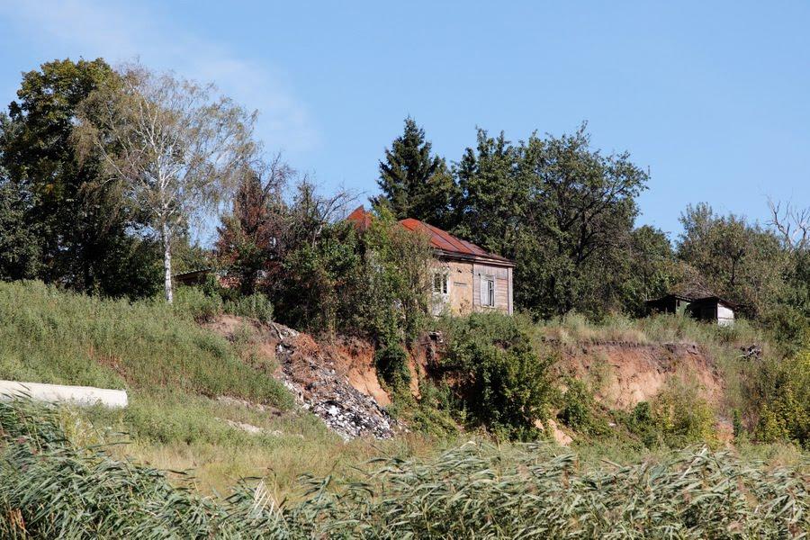 Кочеток з panoramio.com - Кочеток