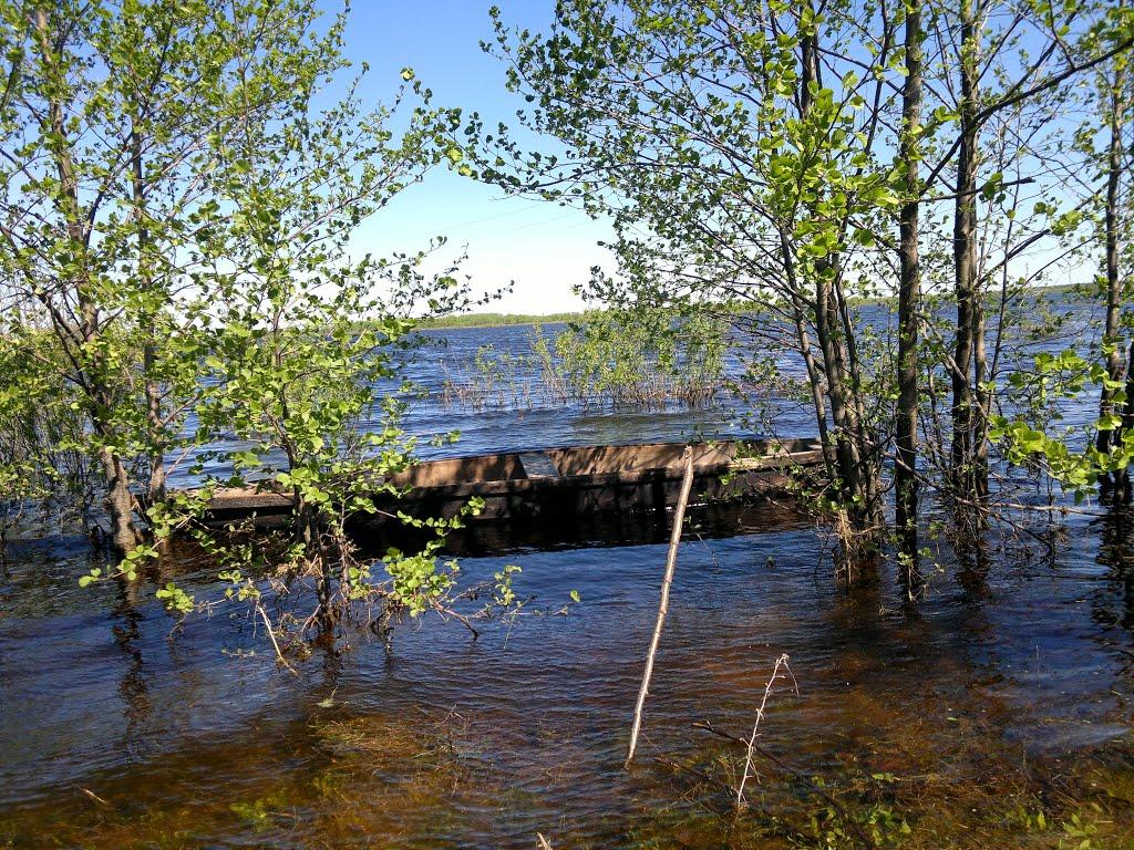 Коротченкове з panoramio.com - Коротченкове