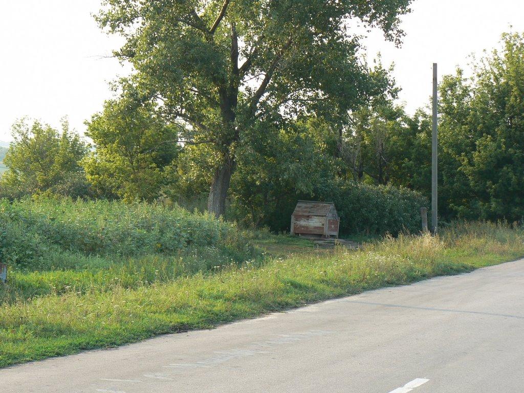 Кобильне з panoramio.com - Кобильне