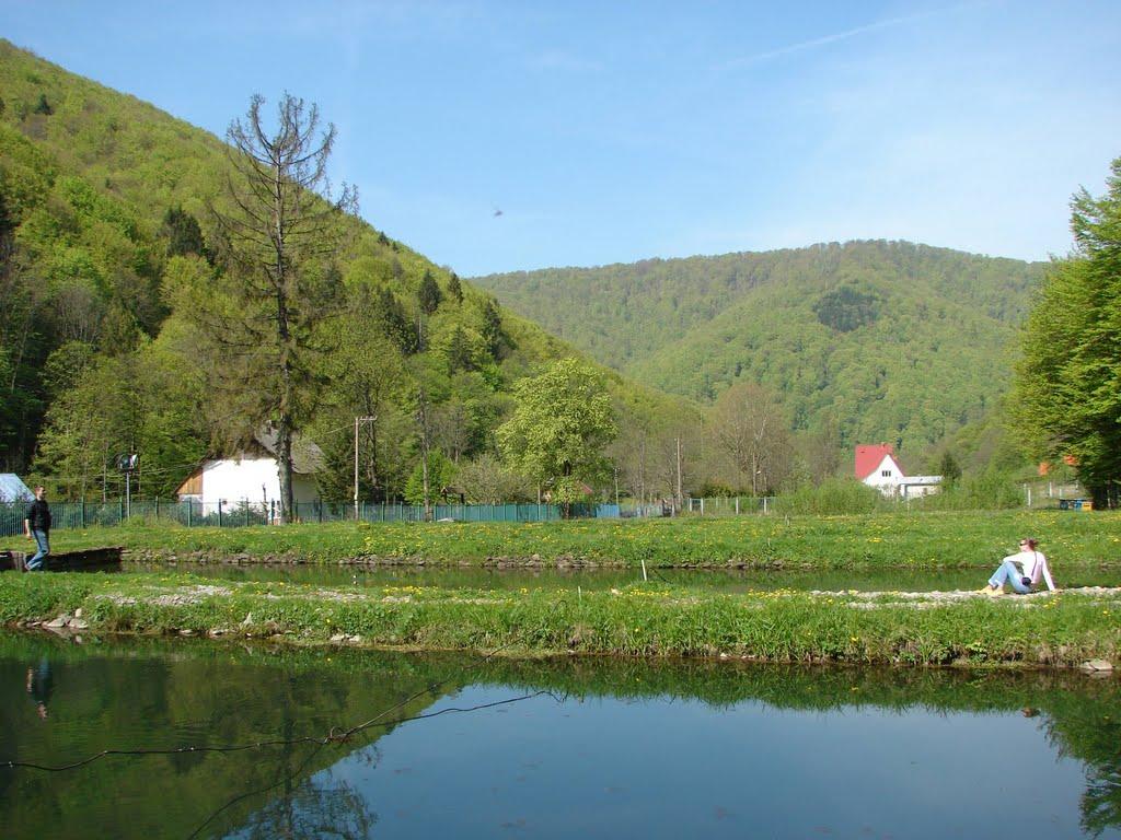 Вовчий з panoramio.com - Вовчий