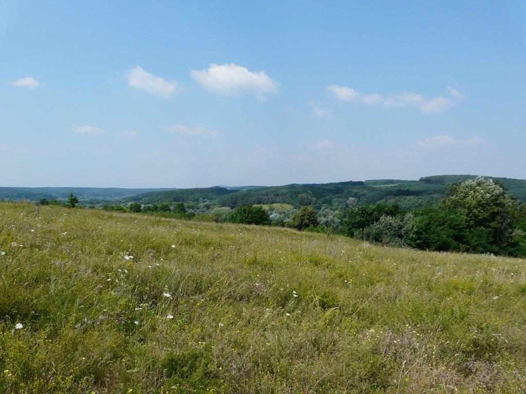 Малий Букрин з panoramio.com - Малий Букрин