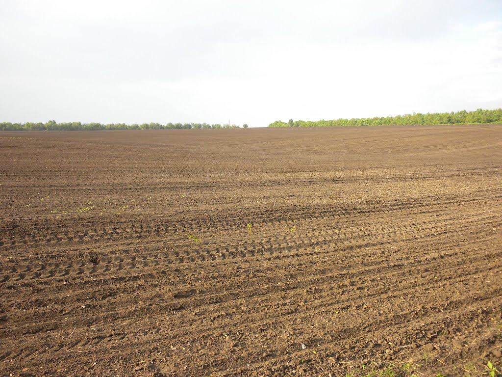 Горби з panoramio.com - Горби