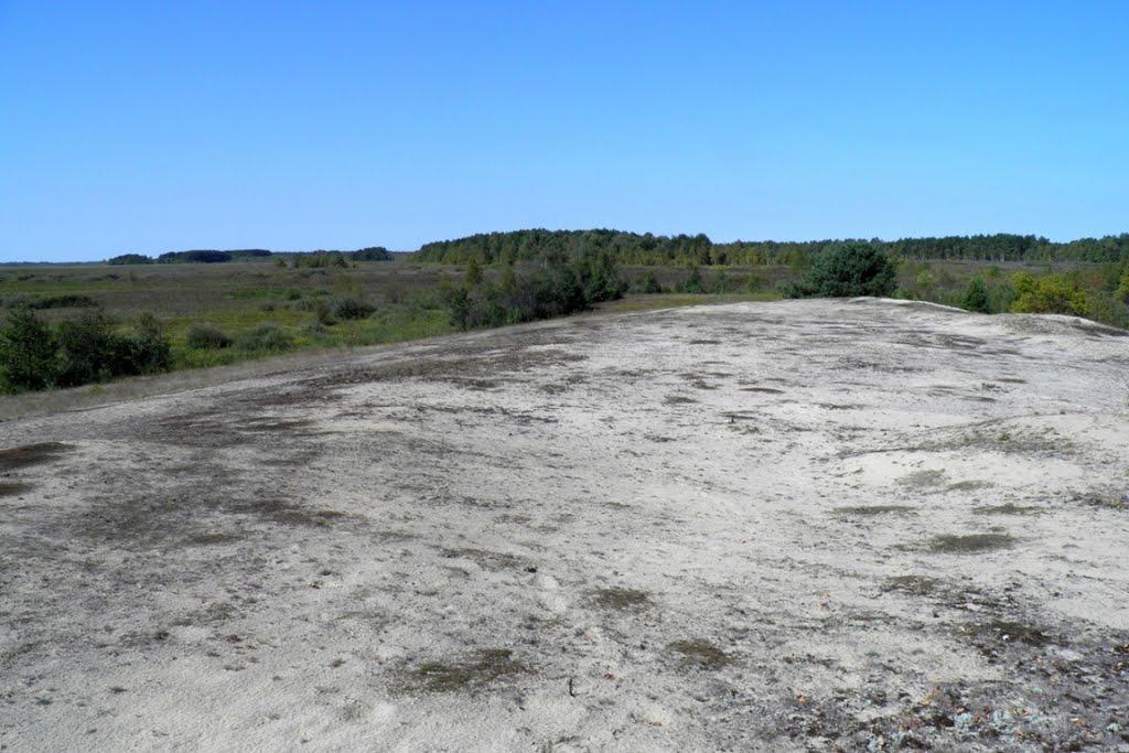 Млин з panoramio.com - Млын