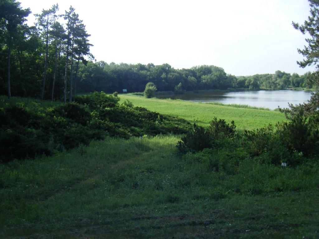 Зелений Гай з panoramio.com - Зелений Гай