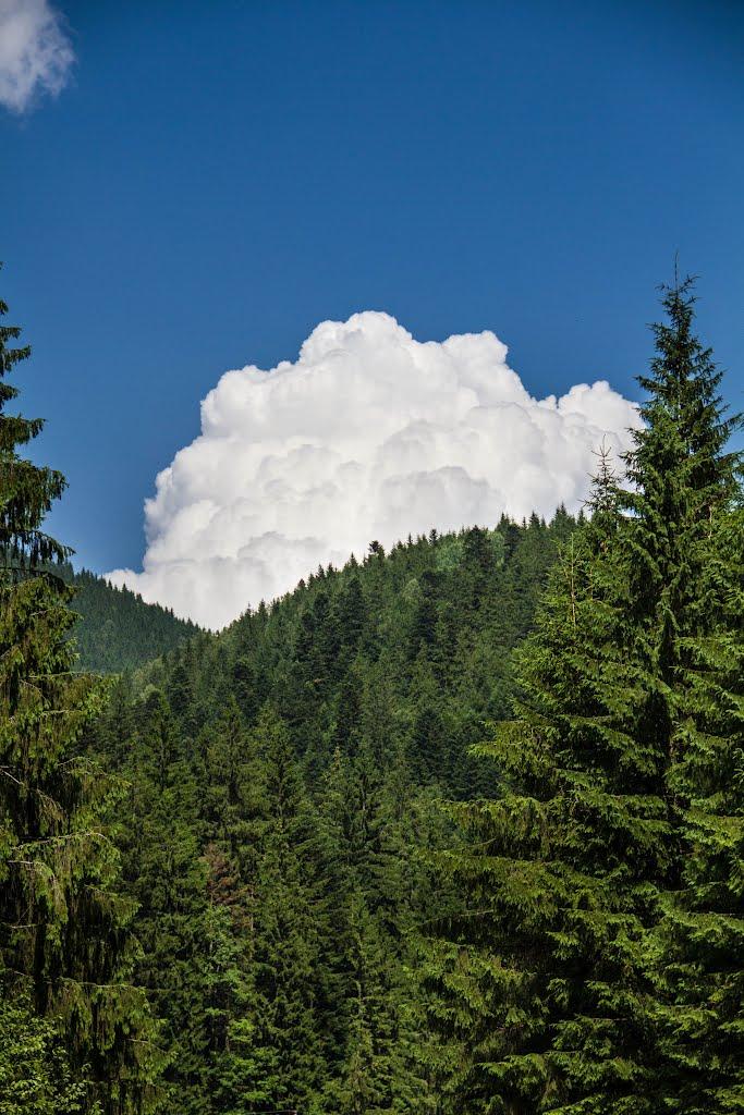 Татарів з panoramio.com - Татаров