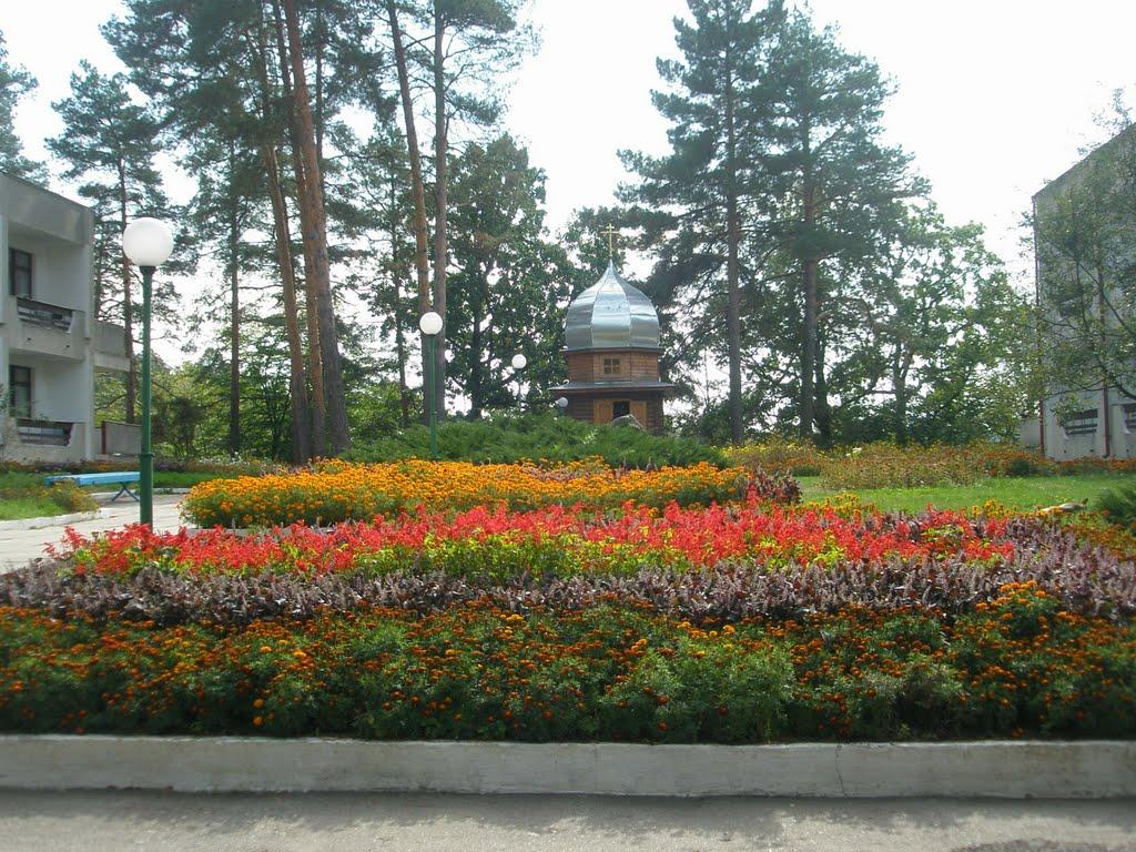 Буки з panoramio.com - Буки