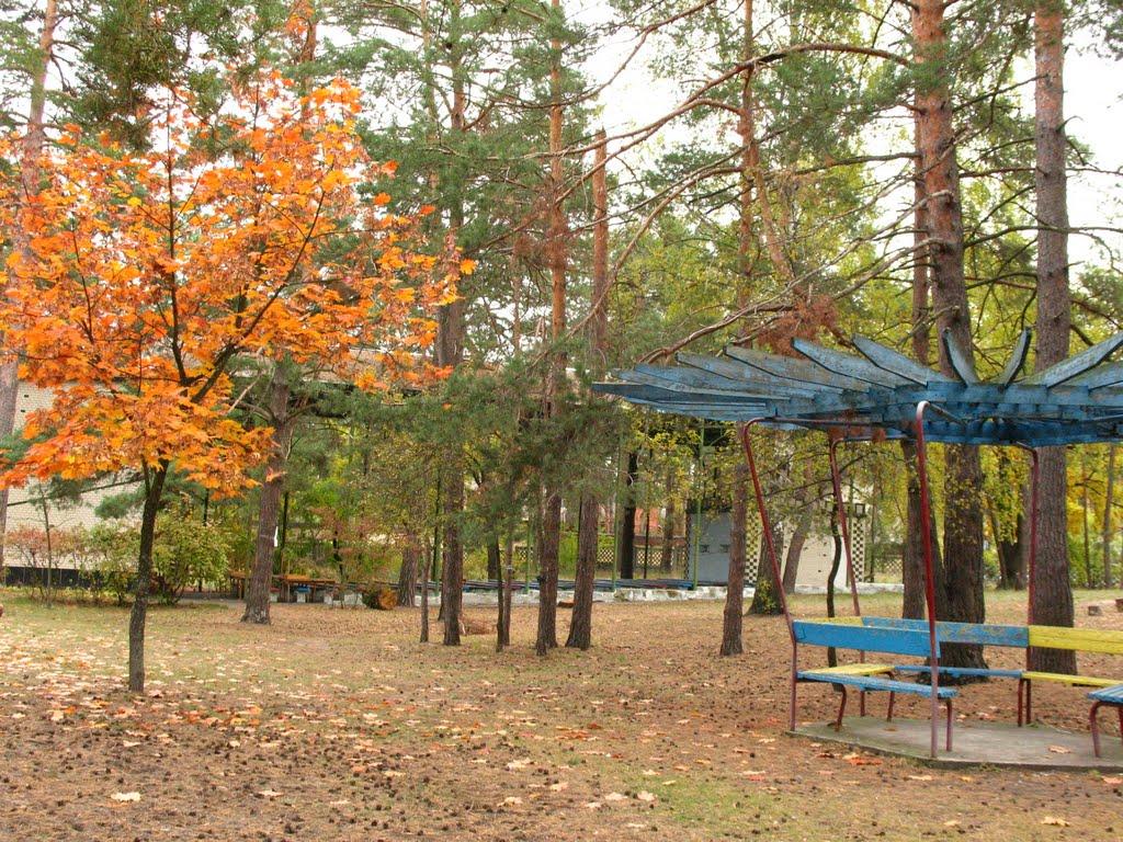 Козин з panoramio.com - Козин