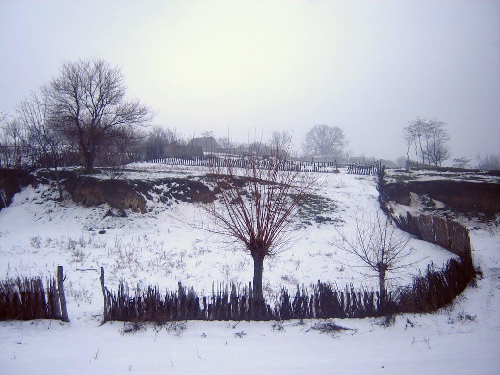 Орлівка з panoramio.com - Orlivka
