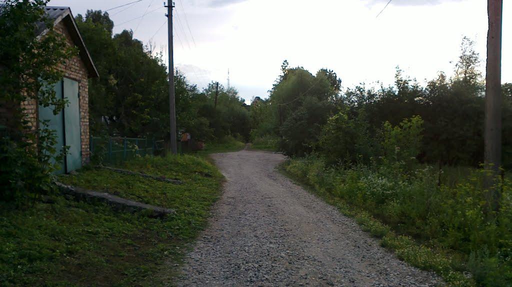 Війтівці з panoramio.com - Войтовцы