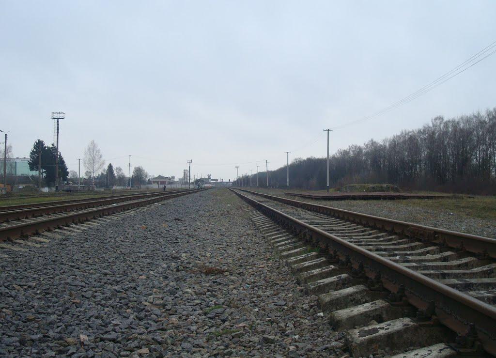 Пашківці з panoramio.com - Пашковцы
