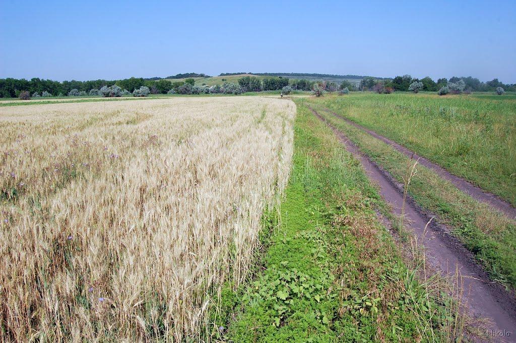 Нова Астрахань з panoramio.com - Нова Астрахань