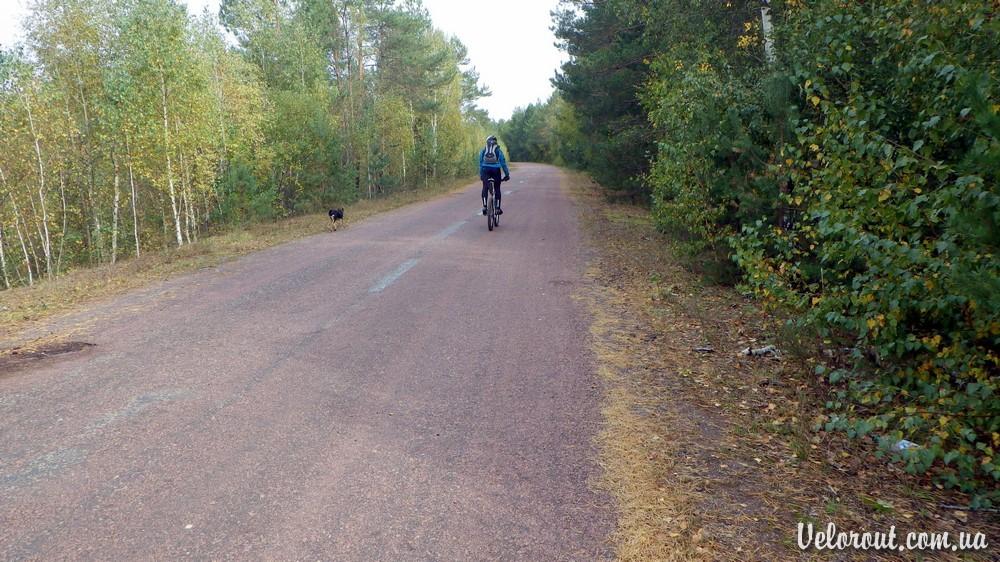 Ясенець з panoramio.com - Ясенець