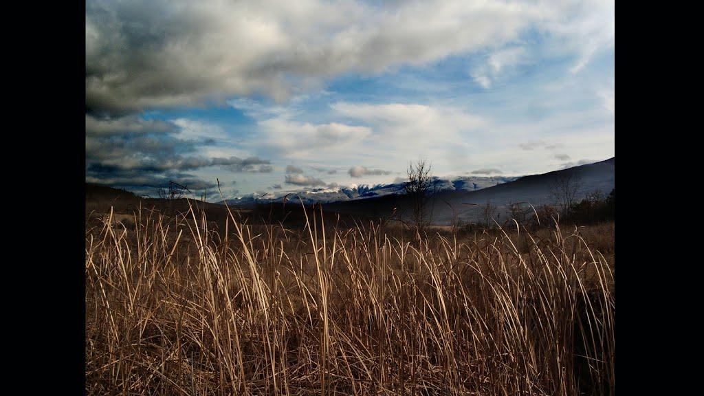 Тилове з panoramio.com - Tylove