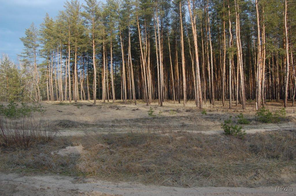 Муратове з panoramio.com - Муратово