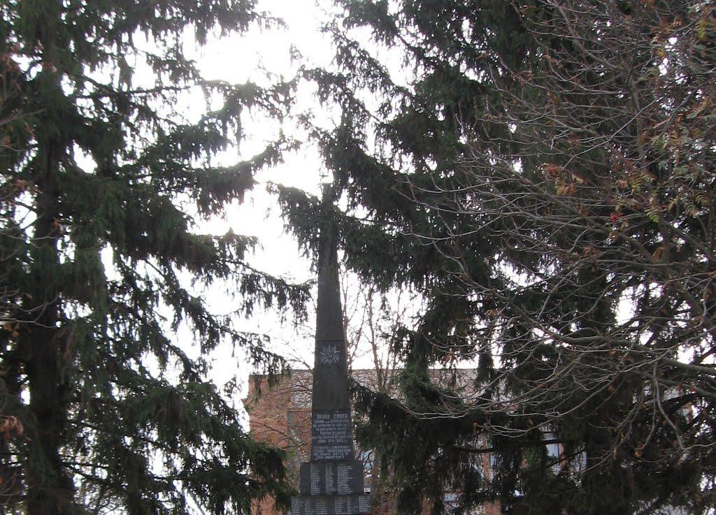 Ворошилівка з panoramio.com - Ворошиловка