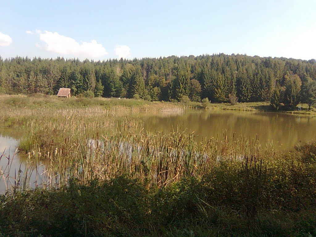 Давидівка з panoramio.com - Давидівка