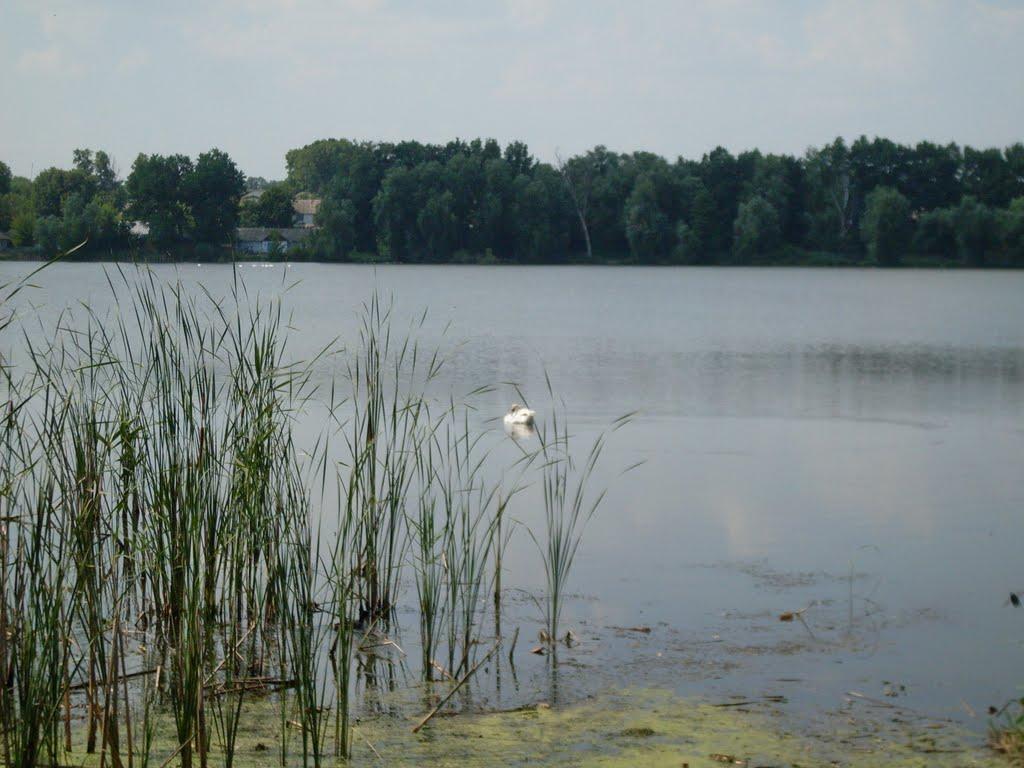 Ситківці з panoramio.com - Ситківці