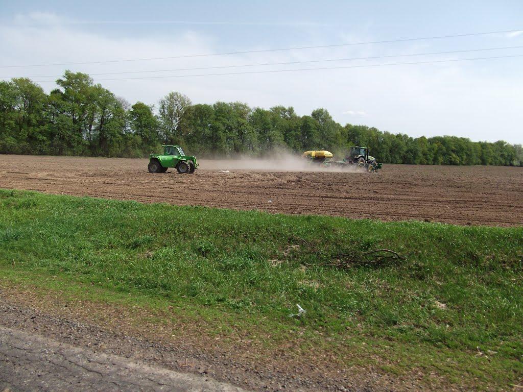 Виблі з panoramio.com - Виблі