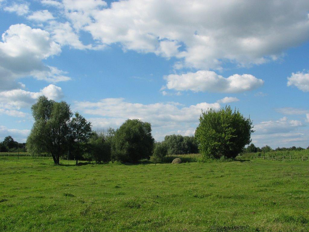 Велика Павлівка з panoramio.com - Велика Павлівка