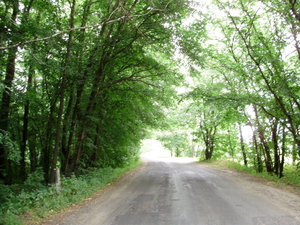 Яцьківка з panoramio.com - Яцьківка