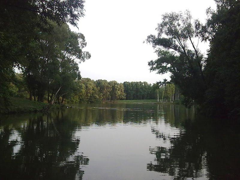 Сильченкове з panoramio.com - Сильченкове