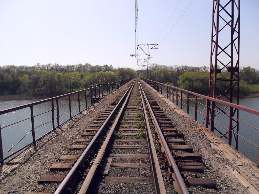 Доломітне з panoramio.com - Доломітне