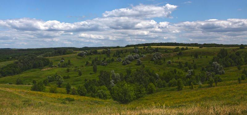 Малий Букрин з panoramio.com - Малий Букрин