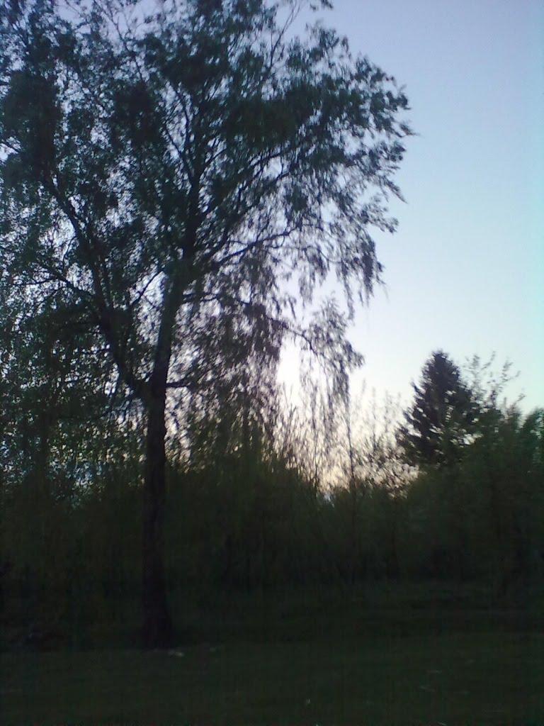 Пильки з panoramio.com - Пильки