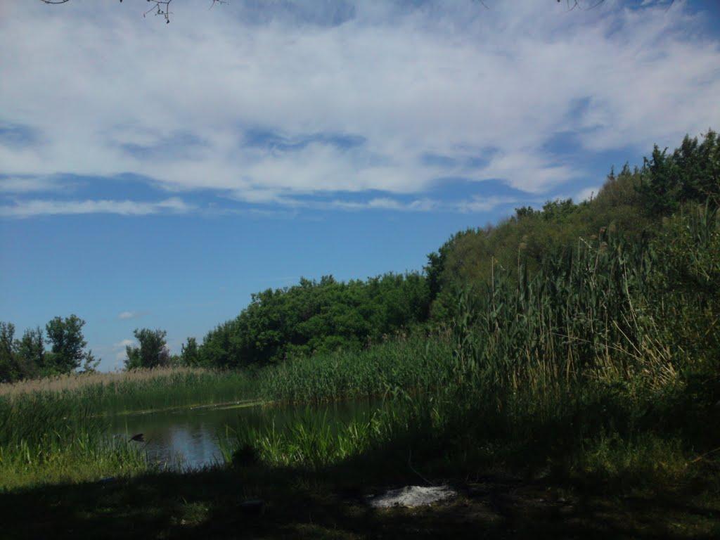 Плетенівка з panoramio.com - Pletenivka