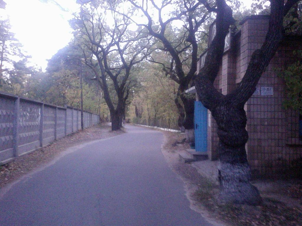 Козин з panoramio.com - Козин