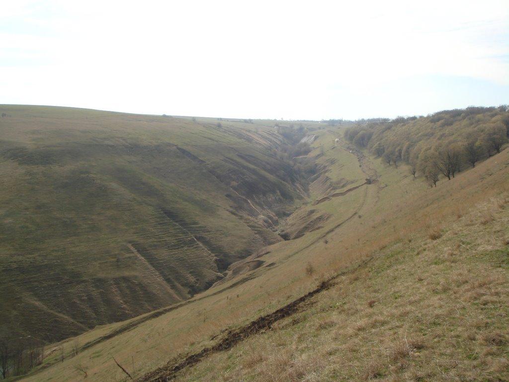 Братанівка з panoramio.com - Братанівка