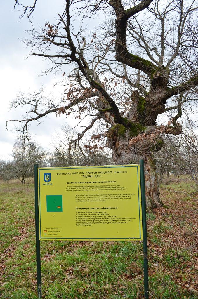 Медвин з panoramio.com - Медвин