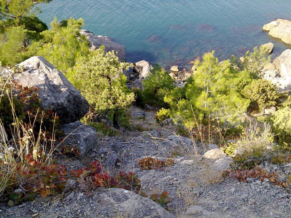 Долина з panoramio.com - Долина