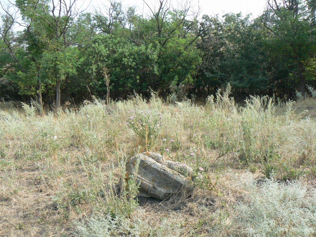Сміле з panoramio.com - Сміле