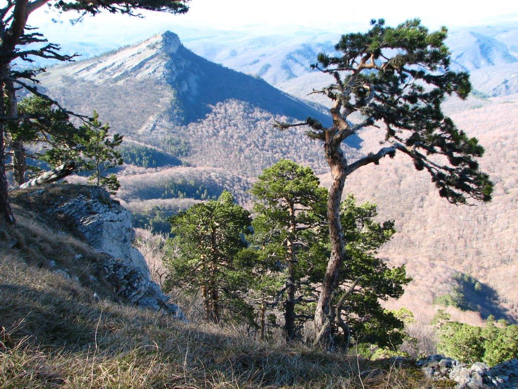 Совєтське з panoramio.com (ч.2) - Советское
