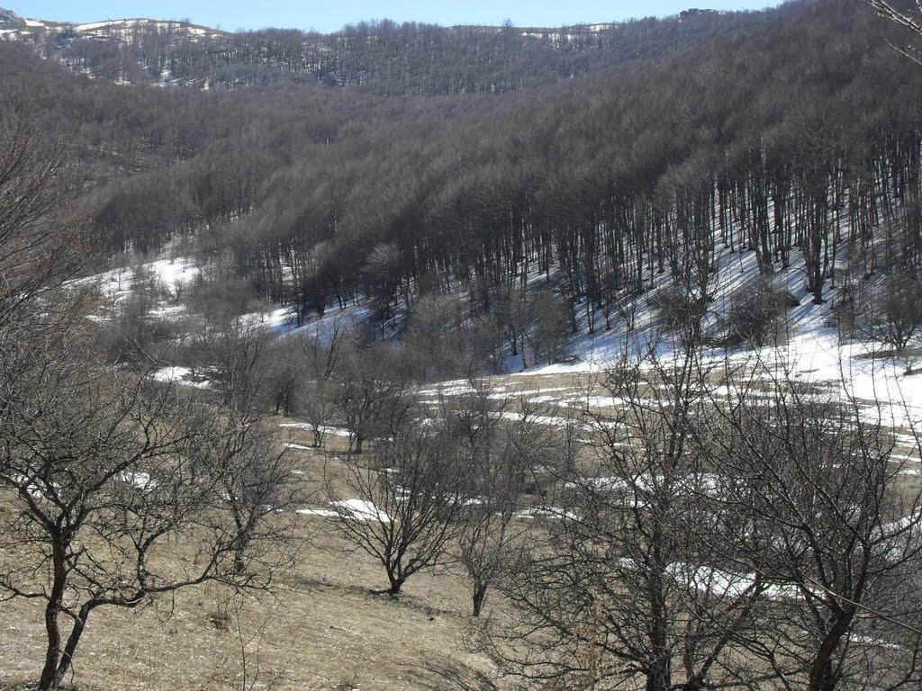 Чайковське з panoramio.com (ч.2) - Чайковское