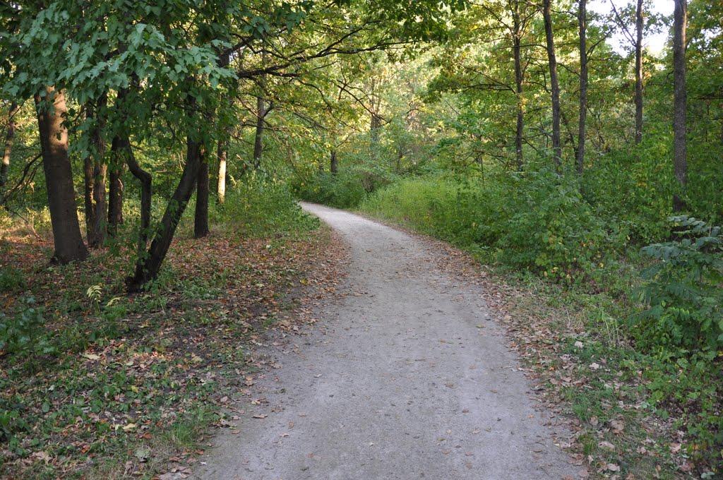 Глибочка з panoramio.com - Глибочка