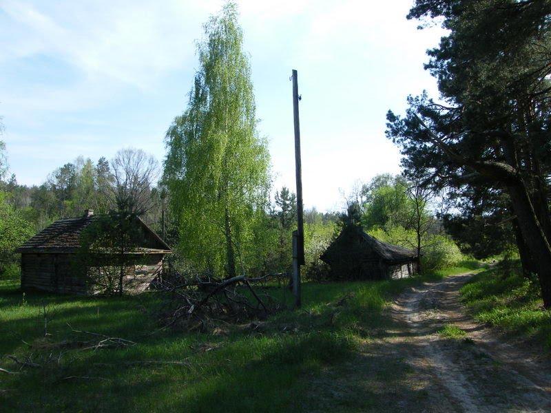 Любеч з panoramio.com - Lyubech