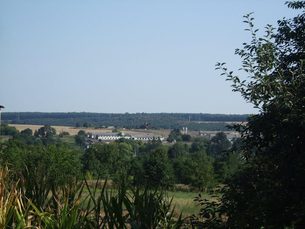 Копіївка з panoramio.com - Копіївка