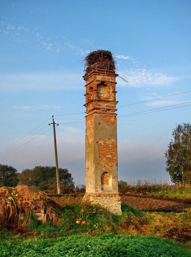 Требухівці з panoramio.com - Требуховцы