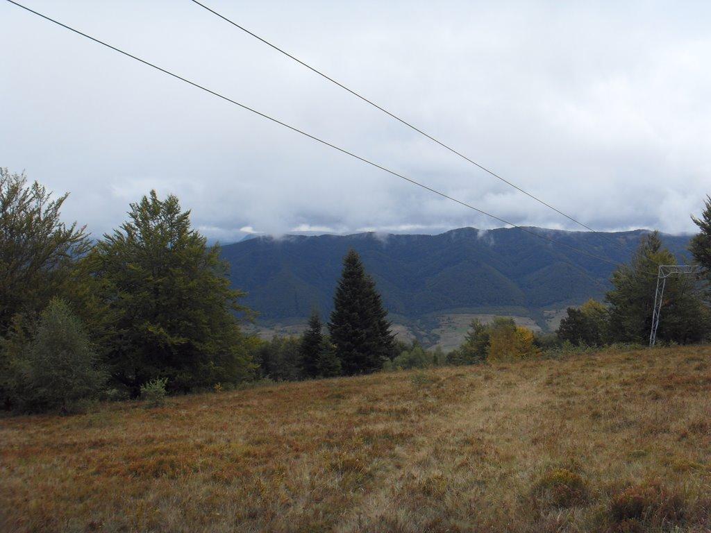 Вишка з panoramio.com - Вышка