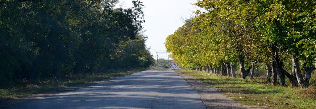 Роздільна з panoramio.com - Роздільна
